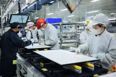 La dynamique de croissance du Vietnam témoigne de la confiance solide des entreprises étrangères dans le potentiel de croissance du pays pour les années à venir. Photo: VNA