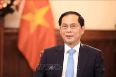 Le vice-Premier ministre et ministre des Affaires étrangères Bui Thanh Son. Photo : VNA