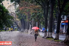 Des pluies et des averses éparses sont attendues à partir de la nuit du 2 mars en raison de l'arrivée d'une nouvelle masse d'air froid. Photo d’illustration : VNP