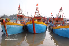 Des bateaux de pêche mouillent au port de pêche de Vàm Lang, commune de Gia Thuân, province de Dông Thap. Photo : VNA