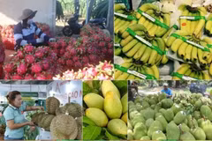 Le Premier ministre ordonne des mesures proactives pour stimuler la consommation de produits agricoles. Photo : VNA