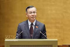 Le ministre des Finances, Ngô Van Tuân, présente à l’Assemblée nationale les orientations pour l’élaboration de la Loi sur le budget de l’État (consolidée). Photo : VNA
