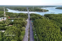 Vue aérienne de la forêt de protection de Cần Giờ. Photo: VNA