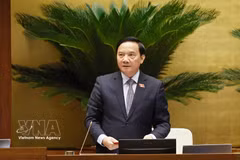 Le vice-président de l'Assemblée nationale, Nguyên Khac Dinh, préside la séance. Photo: VNA