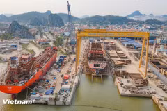 L’industrie navale vietnamienne connaît une vague de commandes de la part d’armateurs internationaux, mais les capacités de production limitées empêchent les entreprises d’accepter davantage de contrats. Photo : VietnamPlus