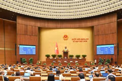 La 15e Assemblée nationale a adopté la Loi sur l’industrie des technologies numériques lors de sa 9e session, le 14 juin. Photo : VietnamPlus