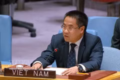 Le ministre-conseiller Nguyên Hai Luu s’exprime lors du débat du Conseil de sécurité consacré à au maintien de la paix et de la sécurité internationales, intitulé « promotion de solutions politiques au Moyen-Orient: médiation et dialogue pour une paix durable », à New York. Photo : VNA