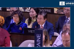 Un représentant du Vietnam prend la parole lors de la session à Paris. Photo : UNESCO