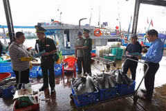 Les gardes-frontières, en coordination avec les forces compétentes, mènent des activités de sensibilisation auprès des pêcheurs au port de Hon Ro, dans le quartier de Nam Nha Trang province de Khanh Hoa. Photo: VNA