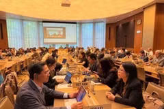 Le ministre conseiller Pham Quang Huy (à gauche), chef adjoint de la mission permanente du Vietnam à Genève, en Suisse, participant aux réunions. Photo: VNA