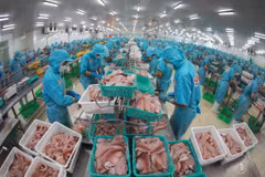 Transformation de produits aquatiques pour l’exportation. Photo : VNA