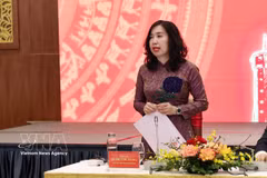 La vice-ministre des Affaires étrangères, Lê Thi Thu Hang. Photo: VNA
