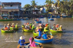 Le tourisme en bateau-panier dans le village de Cam Thanh, à Dà Nang, apporte d'importants bénéfices économiques à la population locale. Photo: VNA