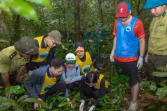Des visiteurs participent au circuit « Retour à la maison » au parc national de Cuc Phuong. Photo : NDEL