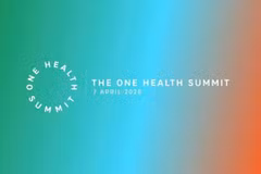 Le One Health Summit aura lieu à Lyon le 7 avril 2026, à l’occasion de la journée mondiale de la santé. Photo: Ambassade de France