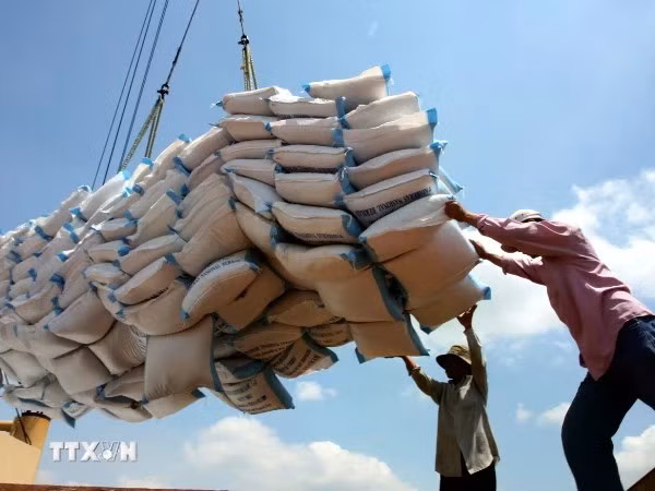 Les produits vietnamiens exportés vers les États-Unis ne sont pas en concurrence directe avec les entreprises américaines sur le marché américain. Photo : VNA