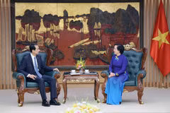 La secrétaire du Comité central du Parti et vice-Première ministre, Pham Thi Thanh Tra, reçoit l'ambassadeur de Chine au Vietnam, He Wei. Photo: chinhphu.vn