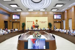 La vice-présidente de l'Assemblée nationale, Nguyen Thi Hong, s'exprime lors de la réunion. Photo: VNA