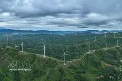 Le Vietnam mise sur le captage du carbone pour atteindre la neutralité climatique
