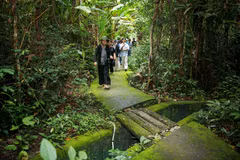 Des touristes visitent la forêt dans le Parc national de Lo Go - Xa Mat. Photo : VNA