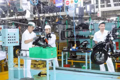 Grâce à l’amélioration de son climat des affaires et de l’investissement et des infrastructures de ses zones industrielles, Ninh Binh s’impose progressivement comme une destination de confiance pour les investisseurs internationaux. Photo: VNA
