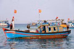 Ly Son : L'effervescence matinale au port de pêche d'An Vinh