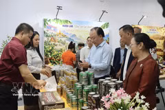 Des délégués visitent des stands lors de la Semaine des produits Vietnam-Laos. Photo: VNA