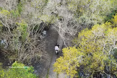 Hue : Les splendeurs automnales de la mangrove de Ru Cha