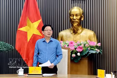 Le vice-Premier ministre Ho Quoc Dung s'exprime lors de la réunion. Photo: VNA