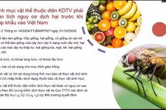 Le Vietnam établit une liste de produits soumis à la quarantaine phytosanitaire. Photo : VNA