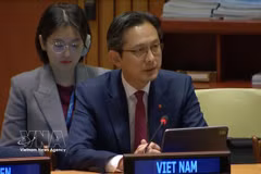 L'ambassadeur Do Hung Viet, chef de la Mission permanente du Vietnam auprès des Nations Unies à New York, s'exprime lors de la réunion. Photo: VNA
