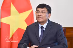 Le vice-ministre permanent des Affaires étrangères du Vietnam, Nguyen Minh Vu. Photo: VNA