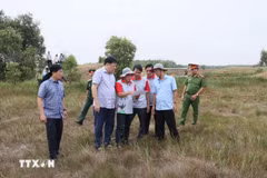 Dans la province de Dong Thap, dans le delta du Mékong, l'innovation technologique se met au service de la protection de l'environnement face aux menaces climatiques. Photo: VNA