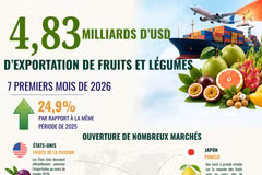 Les exportations de fruits et légumes atteignent 4,83 milliards de dollars en sept mois