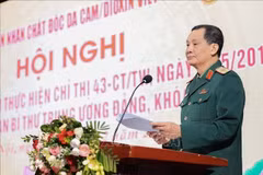 Le général de brigade Do Hong Lam, vice-président permanent de la VAVA, présente le le bilan décennal de la mise en œuvre de la Directive 43-CT/TW. Photo: VNA