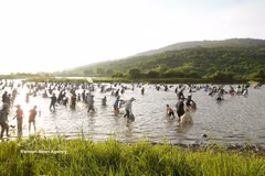 Ha Tinh : liesse populaire au festival de pêche traditionnel de Vuc Rao