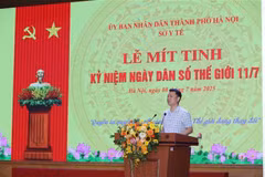 Le directeur de l’Autorité de la population du Vietnam, Lê Thanh Dung, s'exprime au Meeting. Photo: VNA