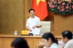 Le vice-Premier ministre Ho Duc Phoc s'exprime à la réunion. Photo: VNA