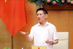 Le vice-Premier ministre Ho Duc Phoc. Photo: VNA