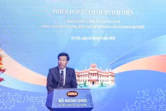 Le vice-ministre des Affaires étrangères, Nguyen Manh Cuong, s'exprime lors de la réunion. Photo: VNA
