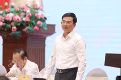 Le vice-gouverneur de la BEV, Pham Thanh Ha, s'exprime lors de la conférence. Photo: VNA