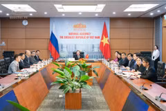 La délégaution vietnamienne participe à la réunion virtuelle. Photo: quochoi.vn.jpg