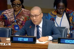 Le ministre plénipotentiaire Nguyên Hoang Nguyên, chargé d'affaires a.i de la Mission permanente du Vietnam auprès de l’ONU, s'exprime à la session annuelle du Conseil d’administration d’ONU Femmes. Photo: VNA