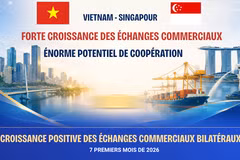 Vietnam-Singapour : les échanges commerciaux atteignent 33 milliards de SGD en sept mois