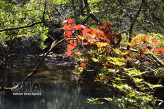 Hue : Concilier conservation et développement de l’écotourisme au parc national de Bach Ma