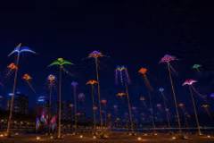 Près de 500 cerfs-volants lumineux illumineront le ciel nocturne de Nang Nang durant trois soirées consécutives, les 24, 25 et 26 juillet. Photo: Danangfantasticity