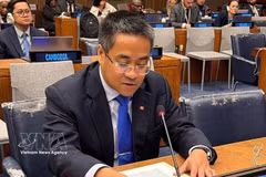 Le ministre-conseiller Nguyen Hai Luu, représentant permanent adjoint de la Mission permanente du Vietnam auprès de l'Organisation des Nations unies (ONU) à New York. Photo: VNA