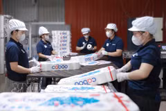 Les entreprises vietnamiennes doivent cibler précisément leurs segments de marché, leurs zones géographiques et leurs canaux de distribution. Photom VNA