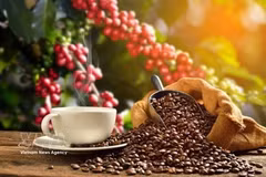 Du volume à la valeur : la nouvelle stratégie de la filière caféière vietnamienne