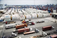 Le Vietnam mise sur la résilience et la diversification pour maintenir son élan d'exportation. Photo: VNA
